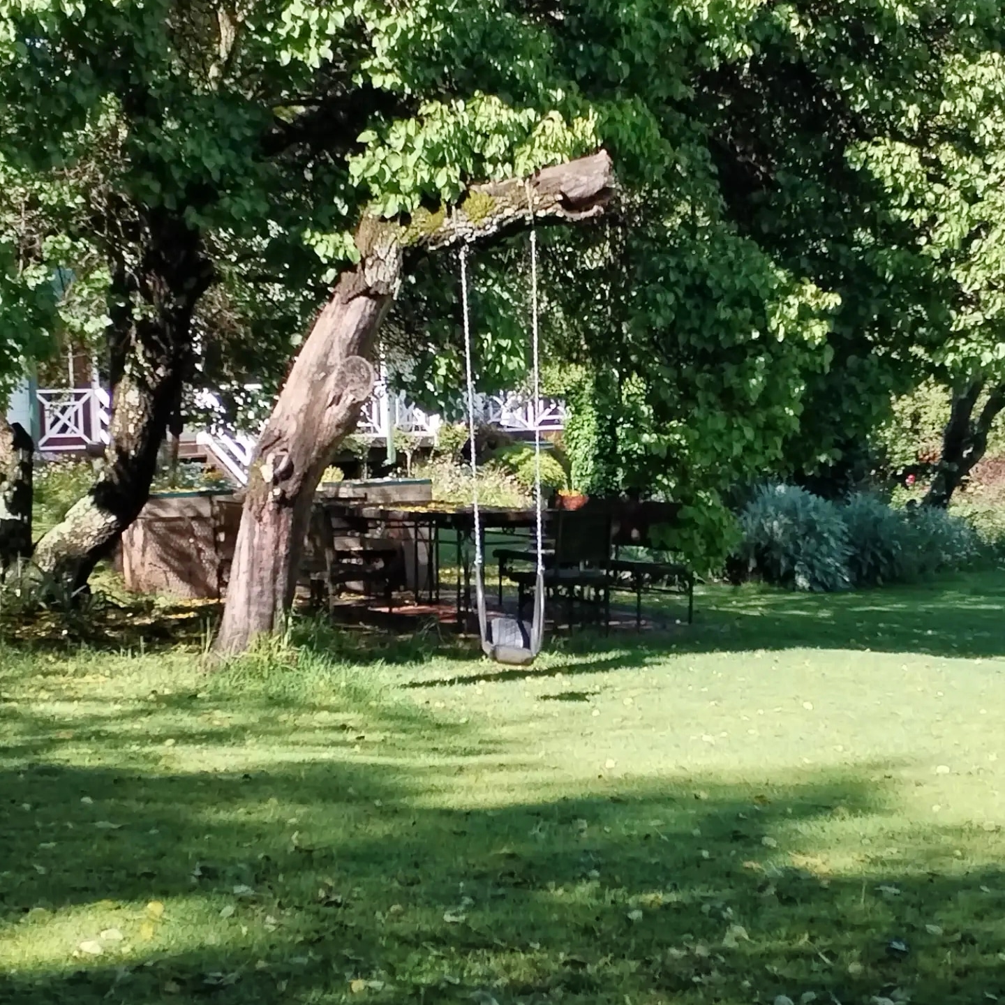 IMG_20221231_115756_699